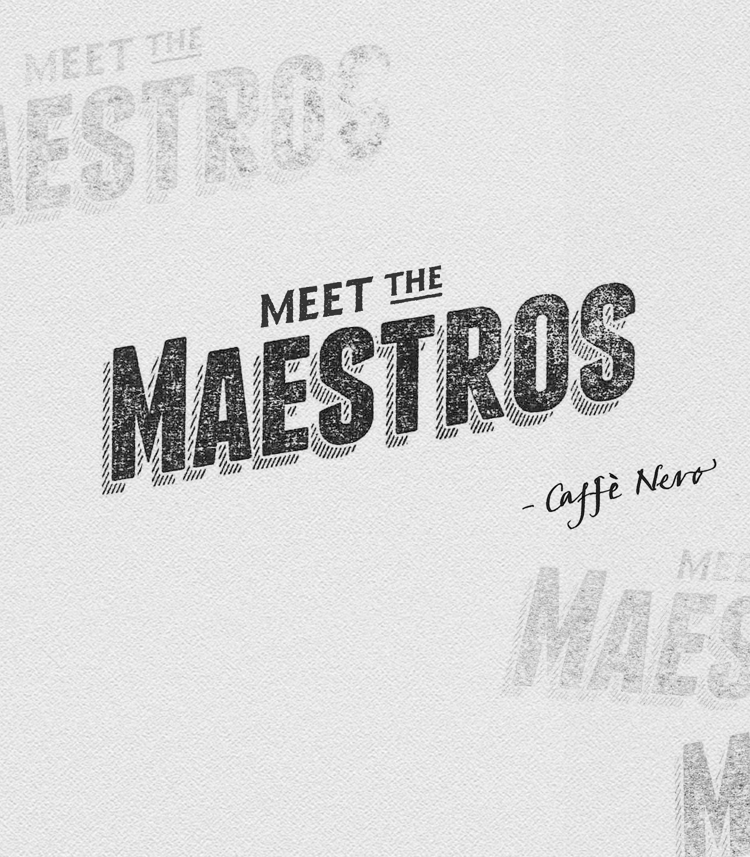 Meet the Maestros